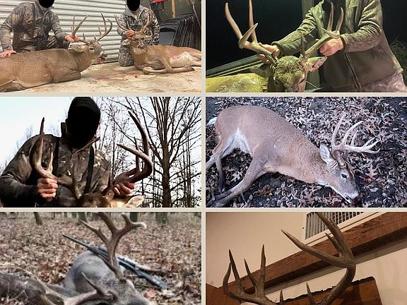 20th image of this home