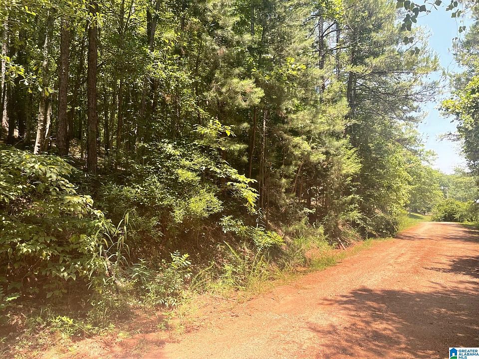 2nd image of County Road 264 #4