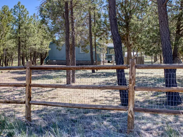 1231 Turkey Hill Rd, Pinedale, AZ 85934