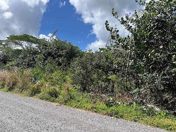 4th image of 2nd Ave Lot 1453