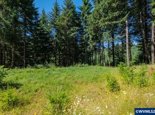432 Chamberlain Rd, Falls City, OR 97344