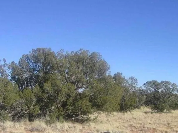 Chevelon Retreat, Heber, AZ 85928