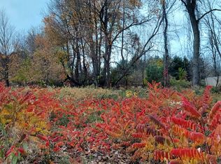 215 N Shore Dr, Stanton, MI