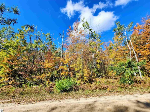 128 Winterhaven Dr, Mancelona, MI 49659