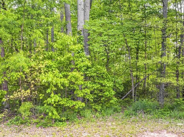 33 High Park Ct, Hendersonville, NC 28791