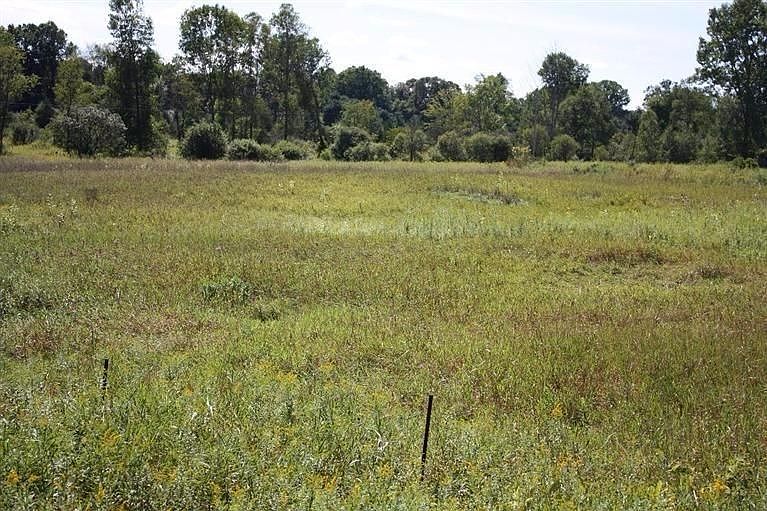 2nd image of 6670 Lingane Rd