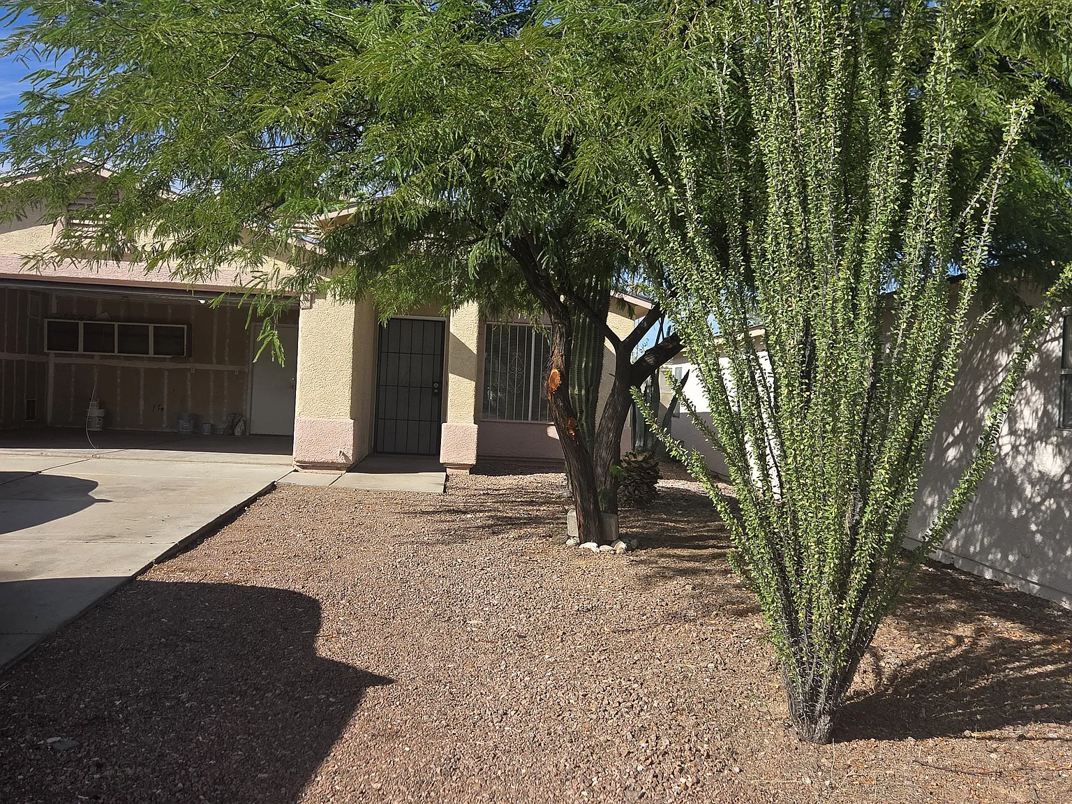 3 bed, 1269 sqft, $1,600 — Photo 3