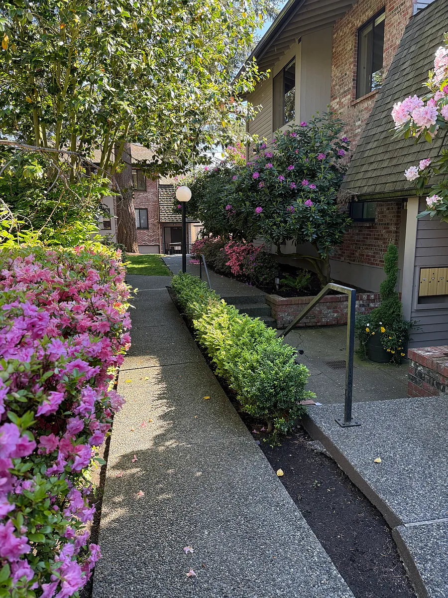 Walkway between buildings - 13509 Linden Ave N #NA