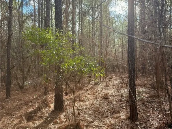1110 Parker Road, Sylvania, GA 30467