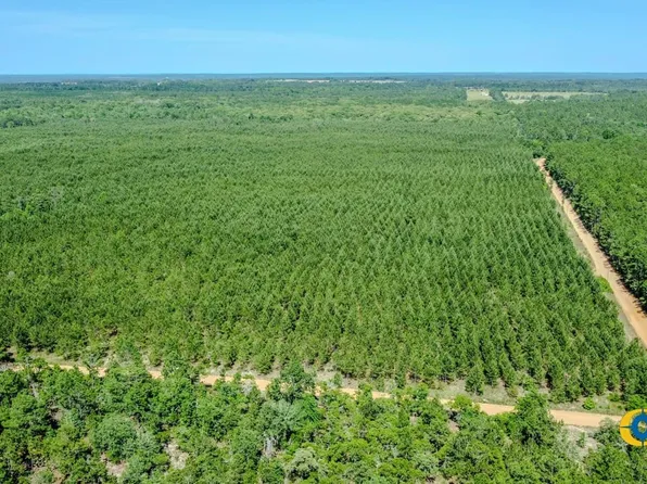 Miller Rd, Mauk, GA 31058