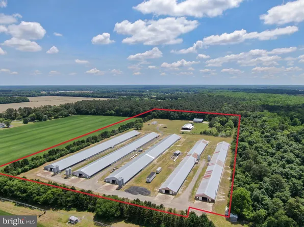 33950 Evans Rd, Laurel, DE 19956