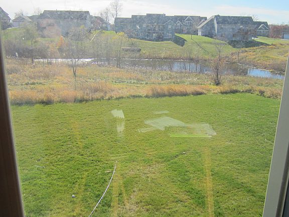 view from dining room
