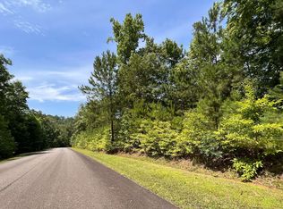 166 N Harris Creek Dr, Ellijay, GA 30540
