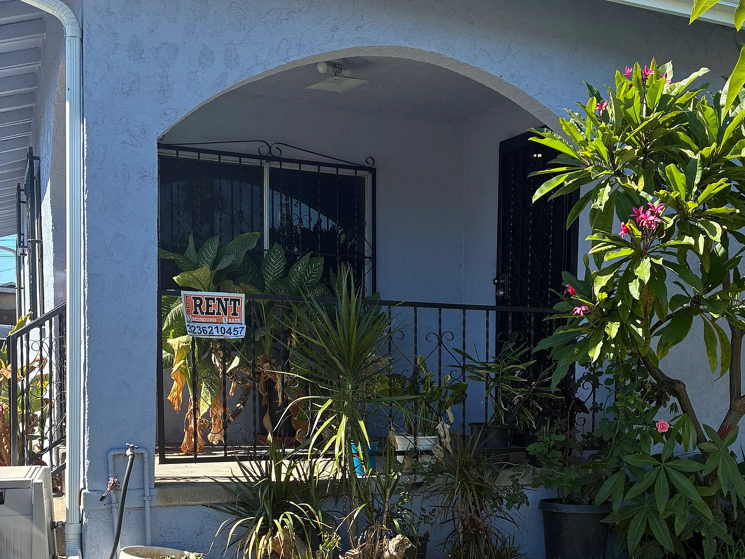 3 bed, 1200 sqft, $3,500 — Photo 2