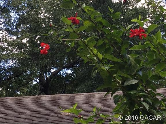 4th image of 1120 NW 42nd Ave