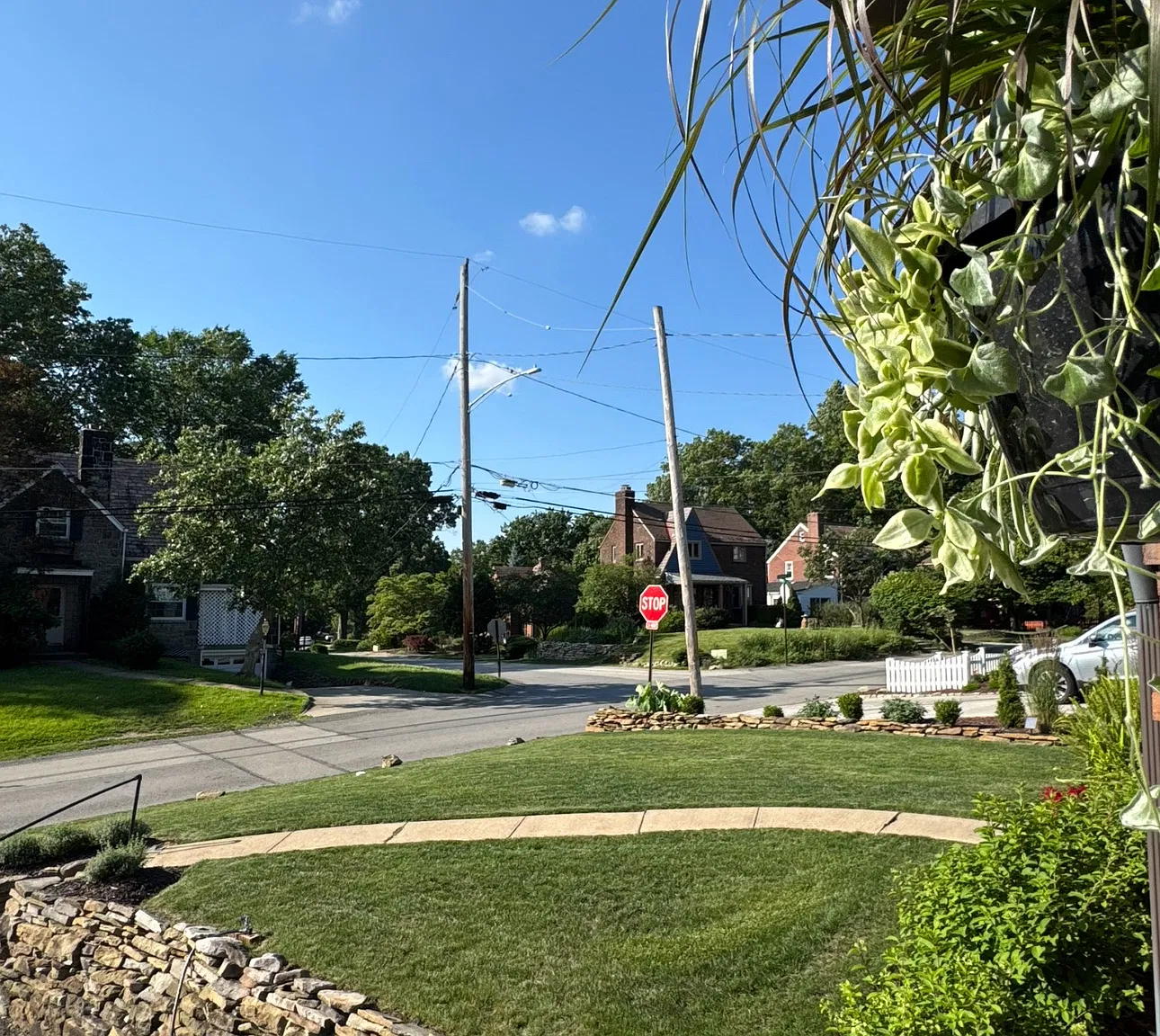 3 bed, 2000 sqft, $2,500 — Photo 3