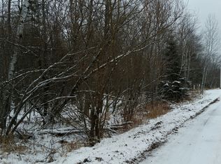 6th Street #VACANT LOT, Channing, MI 49815