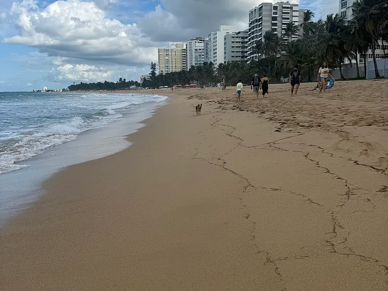 1479 Ashford Avenue Condado Del Mar #C7 — Photo 24