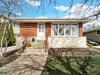 10016 Estelle Dr, Rosemont, IL, 60018
