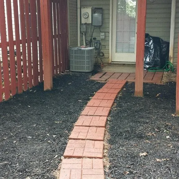 cleaned yard