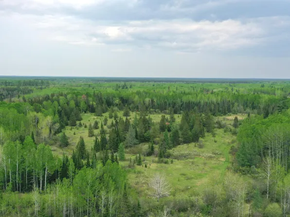 Town Rd #68, Orr, MN 55771