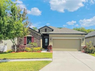 12248 Creek Preserve Dr, Riverview, FL 33579