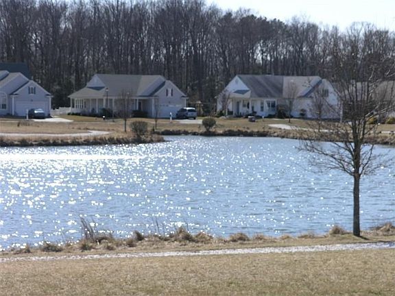 Pond front view
