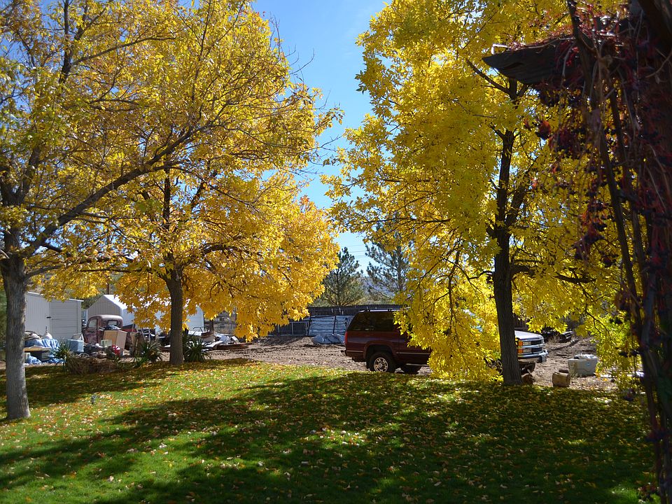 Fall in backyard