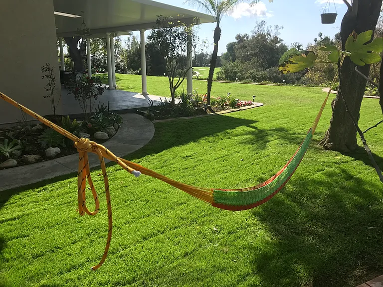 8927 Seranata Dr — Photo 32