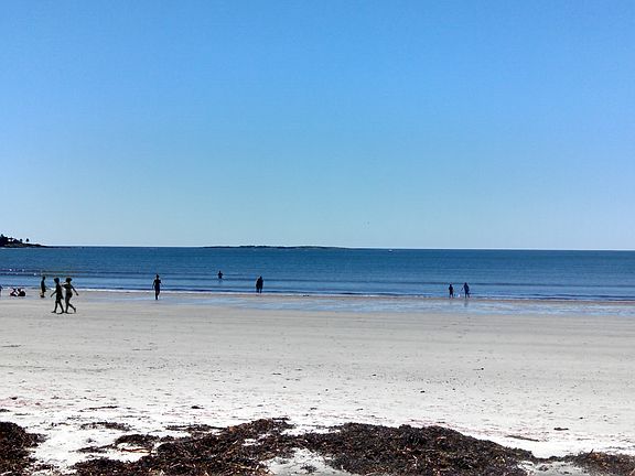 Pine Point Beach