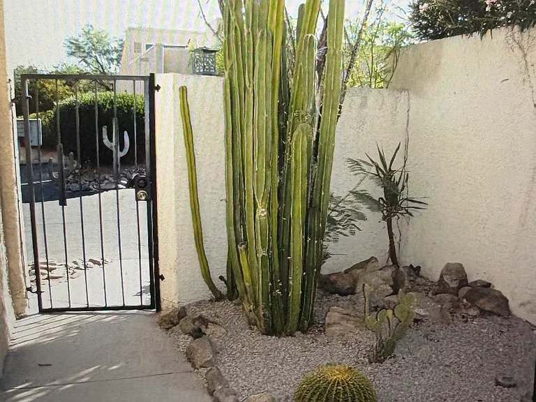3629 N Forgeus Ave — Photo 2