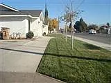 Just Reduced......Ready To Move 3 Bedrooms And 2 Bath, With Big Yard, And A/C Unit — Photo 3