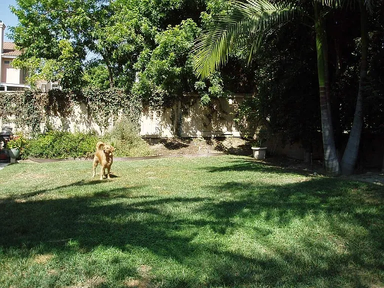 24592 Via Carissa — Photo 13