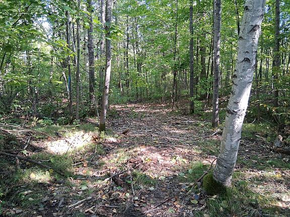 4th image of 4 National Trail Star Lake Rd