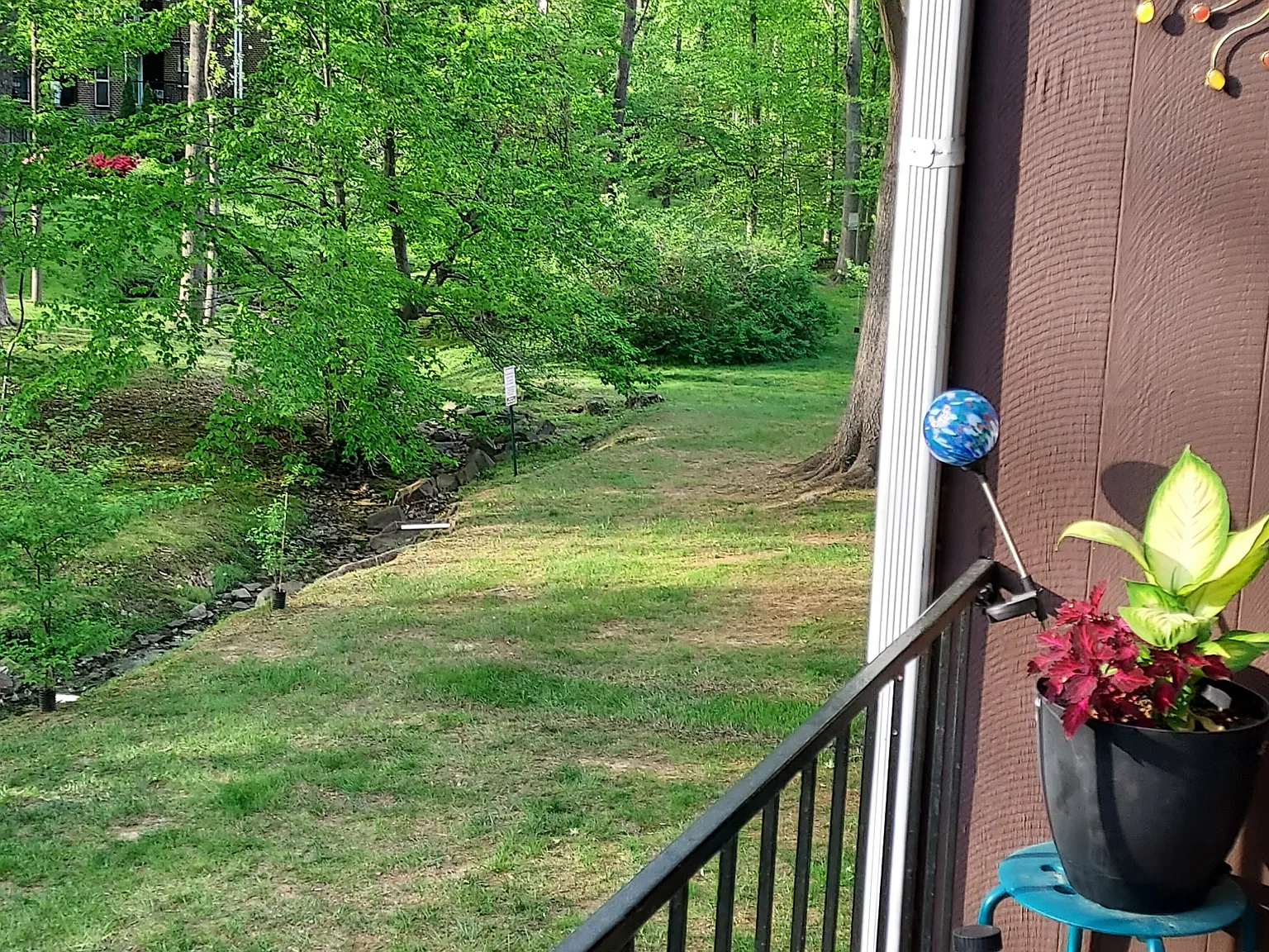2 bed, 1000 sqft, $1,675 — Photo 3