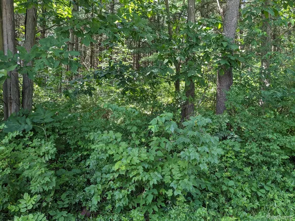 PARCEL N Bassett Rd #F, Lapeer, MI 48446