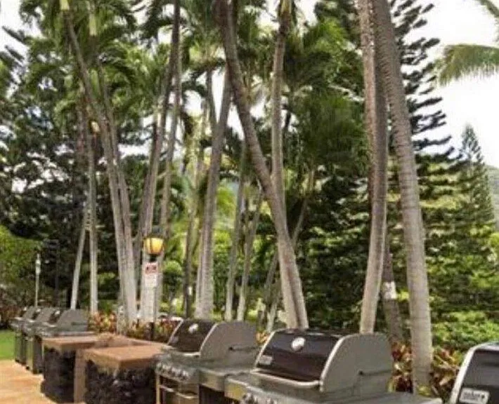 Kili Dr — Photo 35