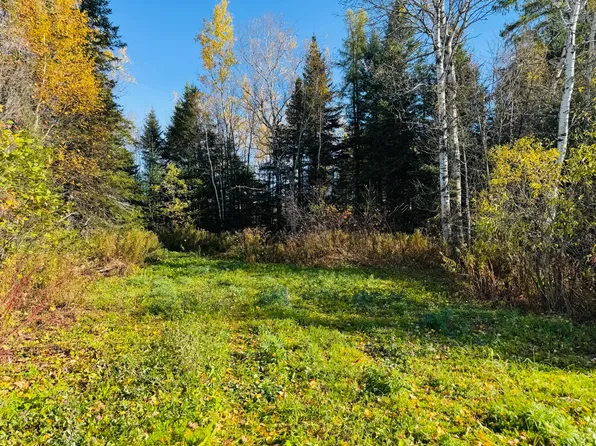 M2 L39-1 Pease Road, Mapleton, ME 04757
