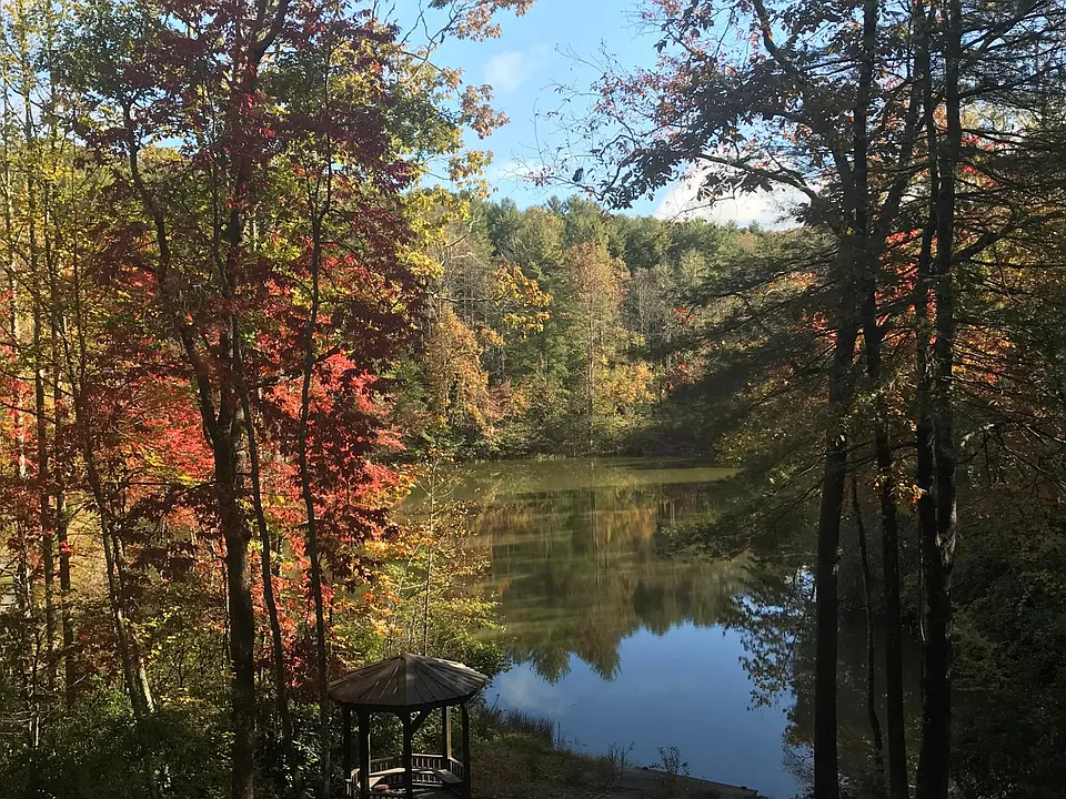 lake view from home