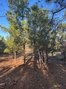 0 Ohana Ct, Bastrop, TX, 78602