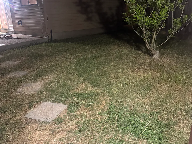 6473 Beech Trail Dr — Photo 47