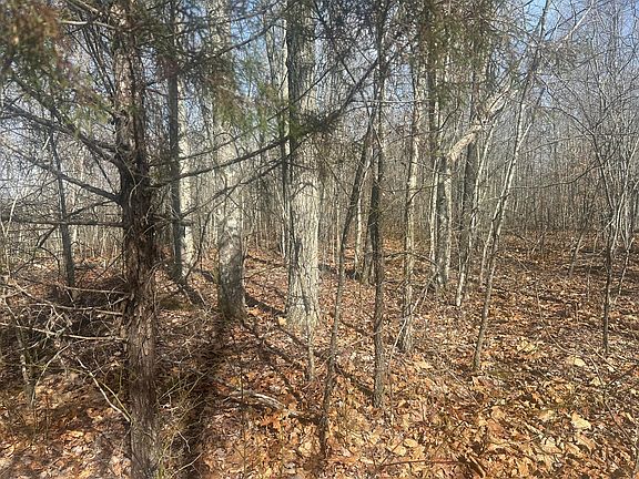 3rd image of Clifty Creek Rd