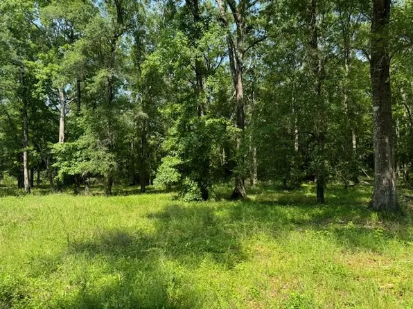 LOT 77 Hunterwood Dr, Jasper, TX 75951