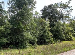 0 Holiday Rd, O'Brien, FL 32071