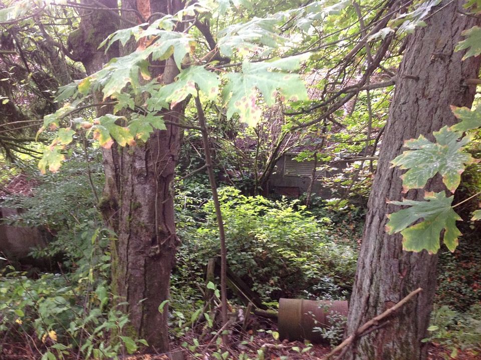 1st image of 303 S Woodland