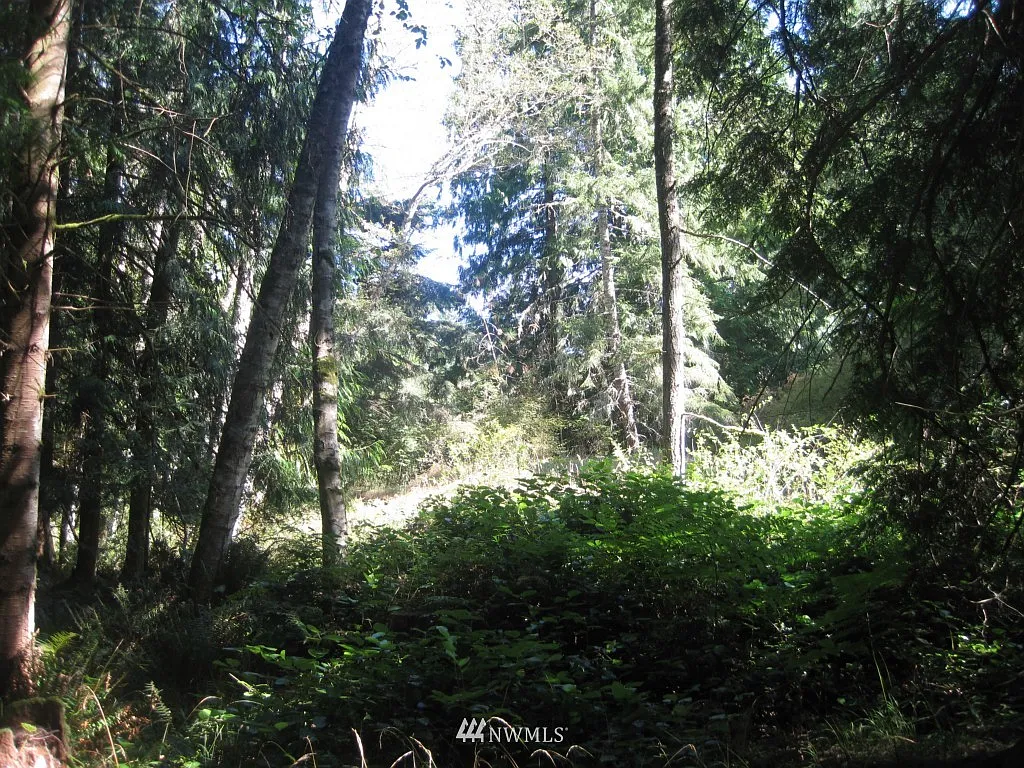 131 Shaggy Mane Lane photo 1