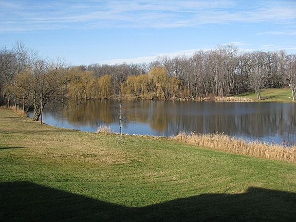 View from covered deck