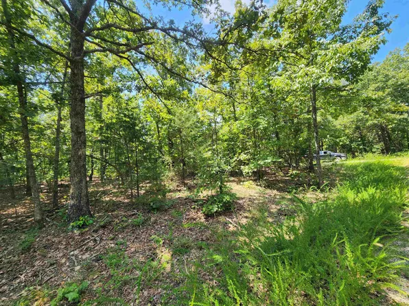 L 1 3 B #2-19, Cherokee Village, AR 72529