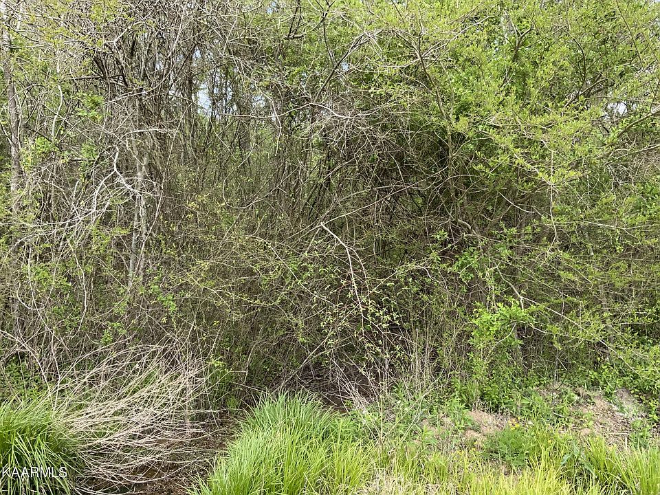2nd image of 92 Roddy Ln