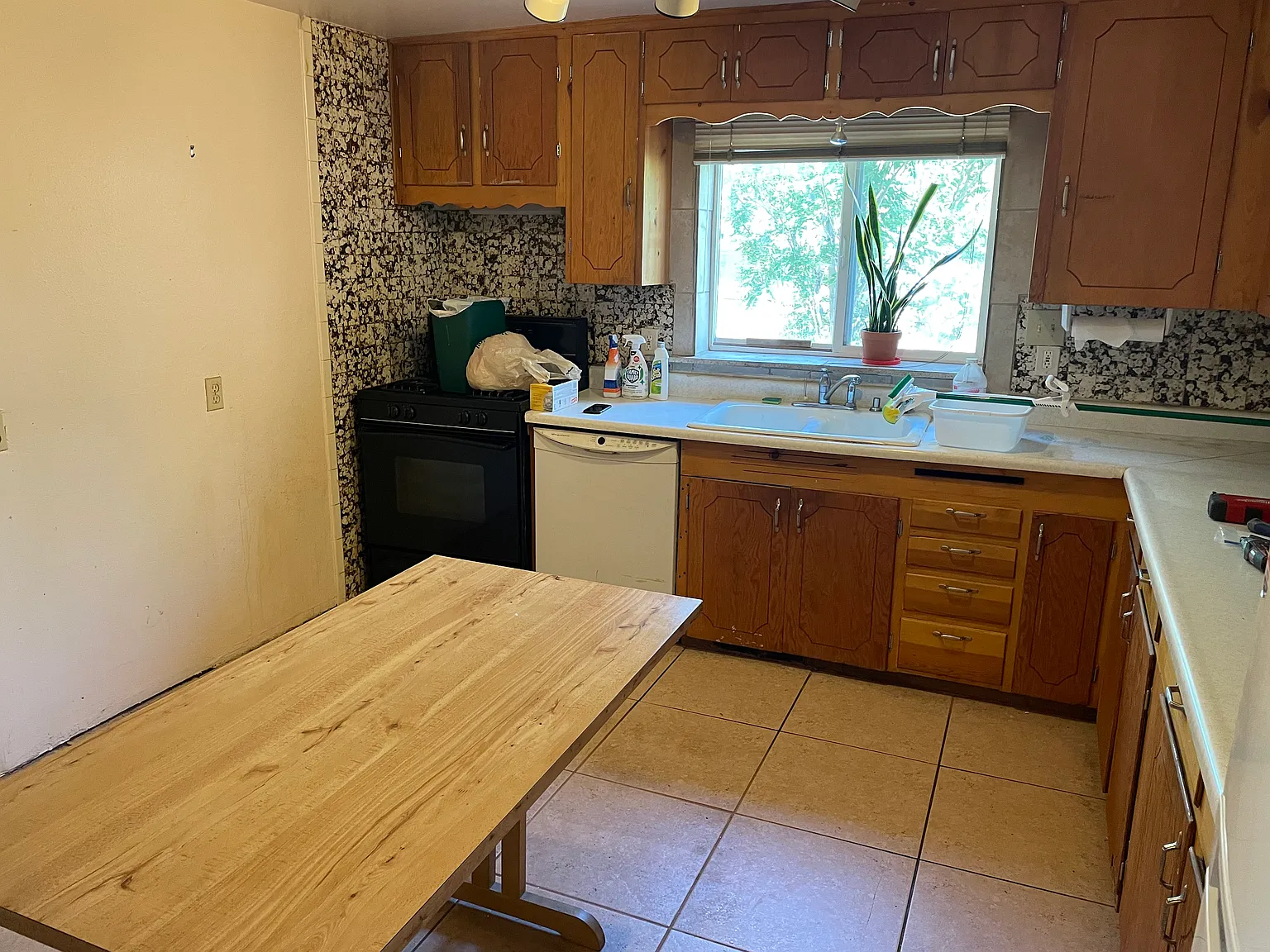 1038 Alto St — Photo 2
